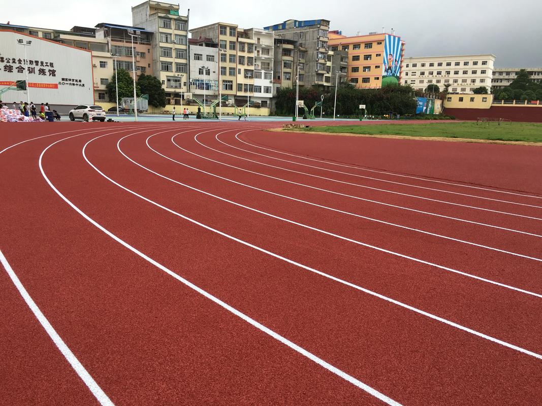 丽江市塑胶跑道塑胶跑道材料 - 厂家